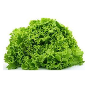 Lettuce/pcs
