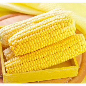 Corn Cob/kg